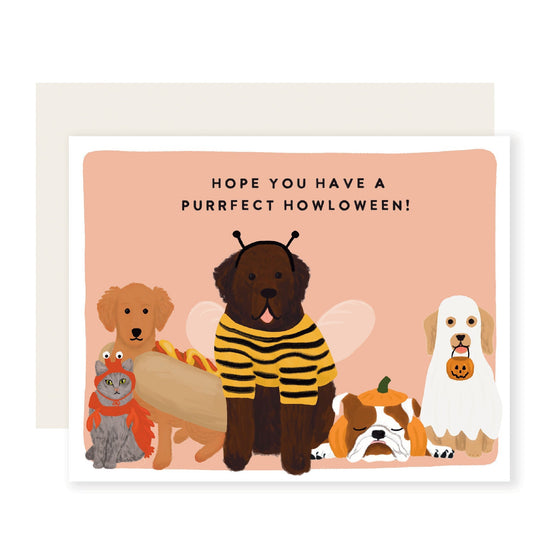 Purrfect Howloween | Dogs & Cats Animal Halloween Fall Card (Case Pack of 6)